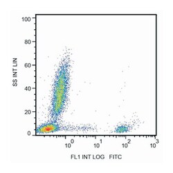 MS4A1, Mouse, PerCP, Clone: 2H7, Abnova 100 Reactions; PerCP:Antibodies,