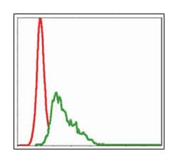 UBE2I, Mouse, Clone: 1B10, Abnova 100&mu;L; Unlabeled:Antibodies, Monoclonal