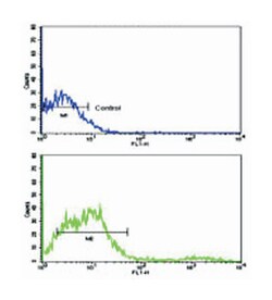 CD8A Rabbit anti-Human, Polyclonal Antibody, Abnova 400 &mu;L | Buy Online | Abnova Corporation | Fisher Scientific