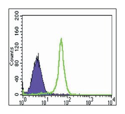 MAP3K7IP2, Mouse, Clone: 3B5, Abnova 100&mu;L; Unlabeled:Antibodies, Monoclonal