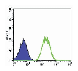 BLNK, Mouse, Clone: 5G9, Abnova 100&mu;L; Unlabeled:Antibodies, Monoclonal