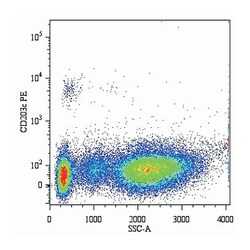 ENPP3, Mouse, PE, Clone: NP4D6, Abnova 100 Reactions; PE:Antibodies, Monoclonal