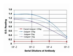 JUN, Mouse, Clone: 4H9, Abnova 100μL; Unlabeled:Antibodies, Monoclonal