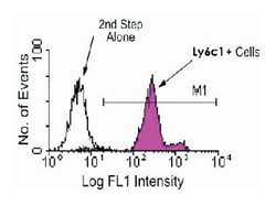 Ly6c1, Rat, Clone: HK1.4, Abnova 500 &mu;g | Buy Online | Abnova | Fisher Scientific