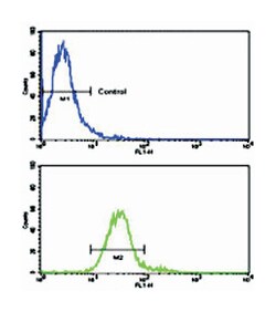 ROR1 Rabbit anti-Human, Polyclonal Antibody, Abnova 400 &mu;L | Buy Online | Abnova Corporation | Fisher Scientific