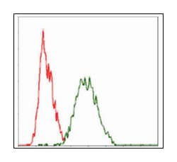 RAF1, Mouse, Clone: 4G4, Abnova 100&mu;L; Unlabeled:Antistoffer