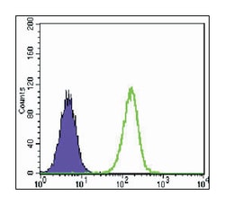 TCF3, Mouse, Clone: 6B8, Abnova 100&mu;L; Unlabeled:Antibodies, Monoclonal
