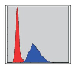 TNNI2, Mouse, Clone: 2F12A11, Abnova 100&mu;L; Unlabeled:Antibodies, Monoclonal