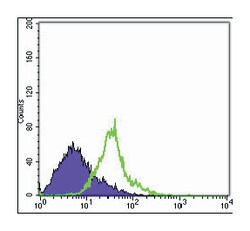 WNT1, Mouse, Clone: 10C8, Abnova 100&mu;L; Unlabeled:Antibodies, Monoclonal