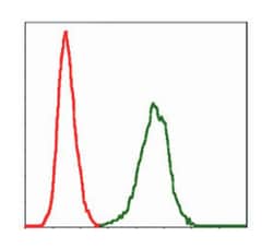 SERPINE1, Mouse, Clone: 1D5, Abnova 100&mu;L; Unlabeled:Antibodies, Monoclonal