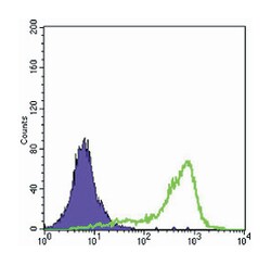 SOD1, Mouse, Clone: 6F5, Abnova 100&mu;L; Unlabeled:Anticuerpos