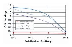 CEACAM5, Mouse, Clone: 1C7, Abnova 100&mu;L; Unlabeled:Antibodies, Monoclonal