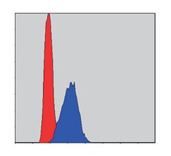 Mouse anti-AIFM1, Clone: 4E7, Abnova 100&mu;L:Antibodies, Monoclonal