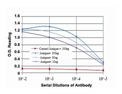 ANIB1, Mouse, Clone: 5H3, Abnova 100&mu;L; Unlabeled:Antibodies, Monoclonal