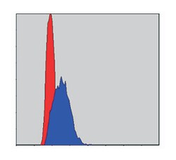 JUN, Mouse, Clone: 5B1, Abnova 100&mu;L; Unlabeled:Antibodies, Monoclonal