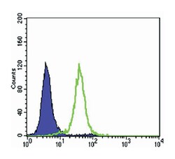 CCNB1, Mouse, Clone: 5G6, Abnova 100&mu;L; Unlabeled:Antibodies, Monoclonal