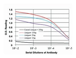 CD9, Mouse, Clone: 5G6, Abnova 100&mu;L; Unlabeled:Antibodies, Monoclonal