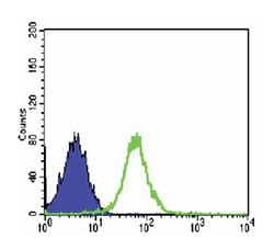 CDH2, Mouse, Clone: 5D5, Abnova 100&mu;L; Unlabeled:Antibodies, Monoclonal