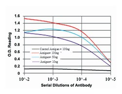 COTL1, Mouse, Clone: 5C8, Abnova 100&mu;L; Unlabeled:Antibodies, Monoclonal