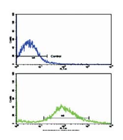 FZD1 Rabbit anti-Human, Polyclonal Antibody, Abnova 400 &mu;L | Buy Online | Abnova Corporation | Fisher Scientific