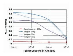 KLRD1, Mouse, Clone: 1H1, Abnova 100&mu;L; Unlabeled:Antibodies, Monoclonal