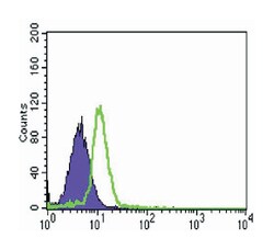 CSK, Mouse, Clone: 5F3, Abnova 100 &mu;L | Buy Online | Abnova | Fisher Scientific
