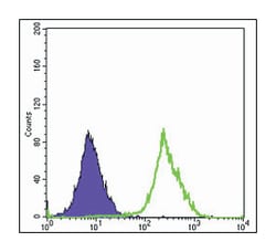 FUK, Mouse, Clone: 6E2, Abnova 100&mu;L; Unlabeled:Antibodies, Monoclonal