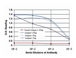 KIF22, Mouse, Clone: 1E3, Abnova 100 &mu;L | Buy Online | Abnova | Fisher Scientific