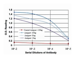 KIT, Mouse, Clone: 1C5, Abnova 100&mu;L; Unlabeled:Antikroppar