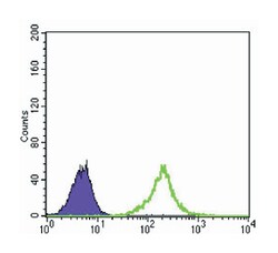 KLHL11, Mouse, Clone: 1B9A8, Abnova 100&mu;L; Unlabeled:Antibodies, Monoclonal