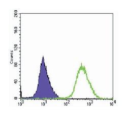 Mouse anti-MAP2K6, Clone: 3H12C8, Abnova 100 &mu;L | Buy Online | Abnova Corporation | Fisher Scientific