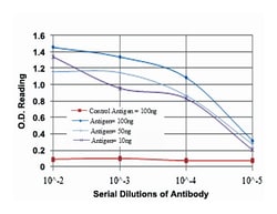 E7, Mouse, Clone: 6F3, Abnova 100&mu;L; Unlabeled:Antibodies, Monoclonal