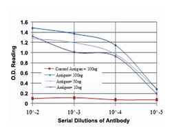 LHX2, Mouse, Clone: 6G2, Abnova 100&mu;L; Unlabeled:Antibodies, Monoclonal