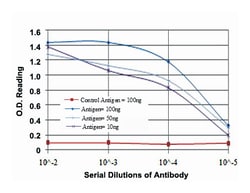 Mouse anti-MAP2K6, Clone: 3H12C8, Abnova 100 &mu;L | Buy Online | Abnova Corporation | Fisher Scientific