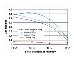 MAPK3, Mouse, Clone: 1E5, Abnova 100&mu;L; Unlabeled:Antibodies, Monoclonal