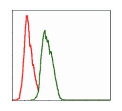 NEDD8, Mouse, Clone: 1A7, Abnova 100&mu;L; Unlabeled:Antibodies, Monoclonal