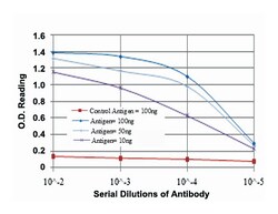 MSI1, Mouse, Clone: 2A12, Abnova 100&mu;L; Unlabeled:Antibodies, Monoclonal