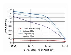 NR3C1, Mouse, Clone: 6E6, Abnova 100&mu;L; Unlabeled:Antibodies, Monoclonal