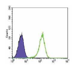 NR3C1, Mouse, Clone: 6E6, Abnova 100&mu;L; Unlabeled:Antibodies, Monoclonal