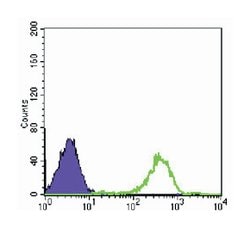 PTK2, Mouse, Clone: 10H7E9, Abnova 100 &mu;L | Buy Online | Abnova | Fisher Scientific