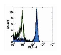 Ly76, Rat, Clone: TER-119, Abnova 100&mu;g; Unlabeled:Antibodies, Monoclonal