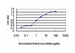 cell division cycle 2-like 5 (cholinesterase-related cell division controller), Mouse, Clone: 3G1, Abnova 100 &mu;g | Buy Online | Abnova Corporation | Fisher Scientific