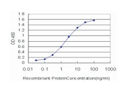 src kinase associated phosphoprotein 1, Mouse, Clone: 1C11, Abnova 100&mu;g;