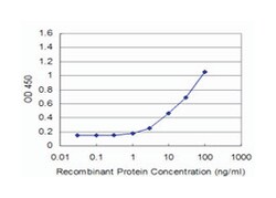 eukaryotic translation initiation factor 3, subunit H, Mouse, Clone: 3B12,