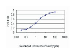 RIO kinase 3 (yeast), Mouse, Clone: 3G11, Abnova 100&mu;g; Unlabeled:Antibodies,