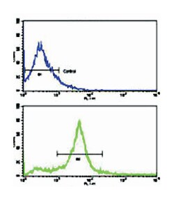 ERBB3 Rabbit anti-Human, Mouse, Polyclonal Antibody, Abnova 400&mu;L; Unlabeled:Antibodies,