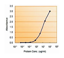 MIF, Goat, Polyclonal Antibody, Abnova 100 &mu;g | Buy Online | Abnova Corporation | Fisher Scientific