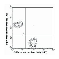 Cd3e, Rat, SPRD, Clone: C363.29B, Abnova 100 &mu;g | Buy Online | Abnova Corporation | Fisher Scientific
