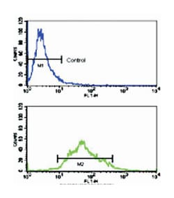 KREMEN1 Rabbit anti-Human, Polyclonal Antibody, Abnova 400 &mu;L | Buy Online | Abnova Corporation | Fisher Scientific