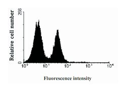 KIR2DL3, Mouse, Clone: 190IIC311, Abnova 100&mu;L; Unlabeled:Antibodies,